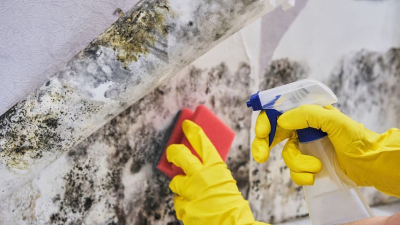 Air Duct Mold Removal in Broward County, FL