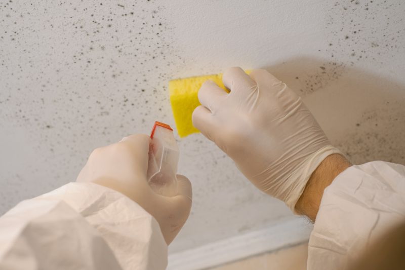 Attic Mold Remediation in Essex County, NJ