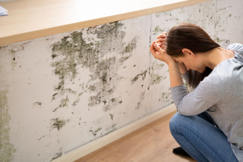 Attic Mold Removal in Dallas, TX