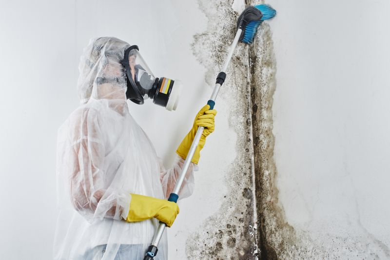 Attic Mold Removal in Boca Raton, FL