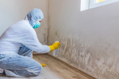 Basement Mold Remediation in Frisco, TX