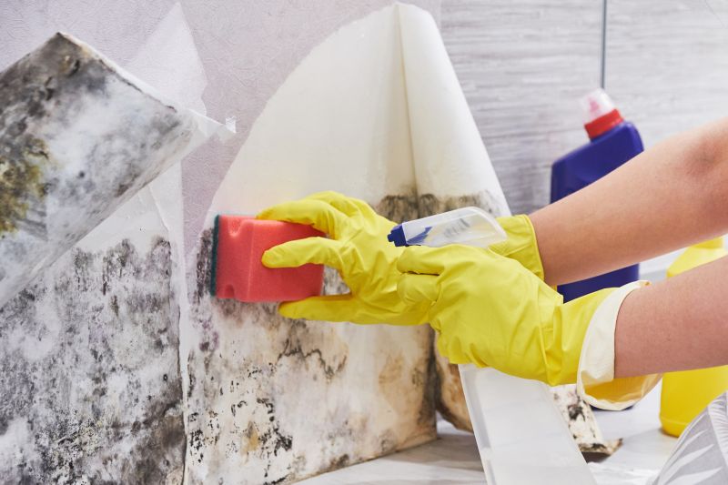 Basement Mold Remediation in Fort Worth, TX