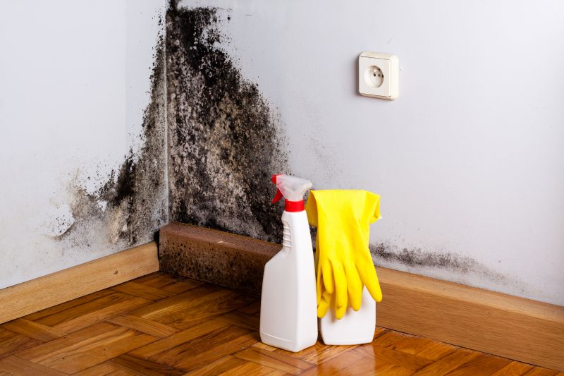 Basement Mold Removal in Essex County, NJ