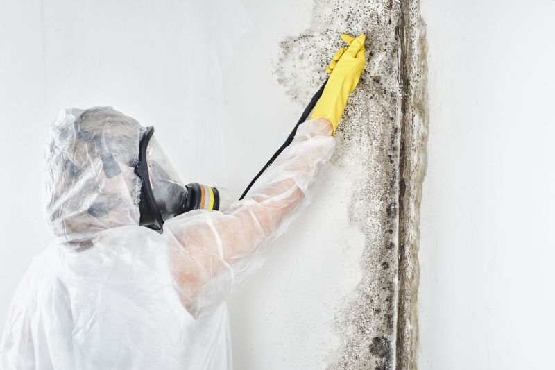 Black Mold Removal in Arlington, TX