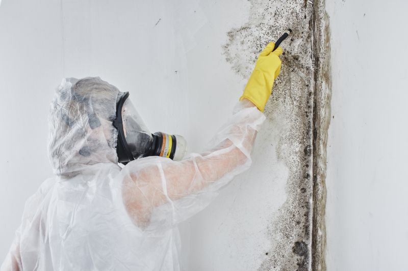 Black Mold Removal in Fort Worth, TX