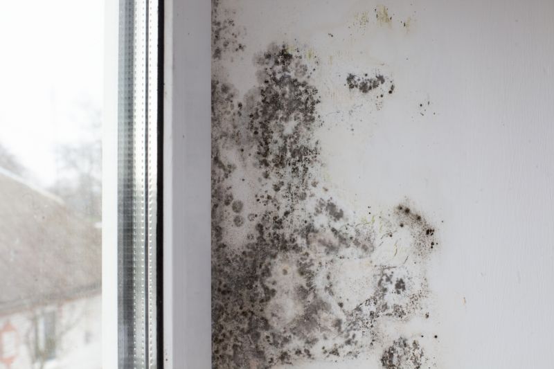 Ceiling Mold Removal in Broward County, FL