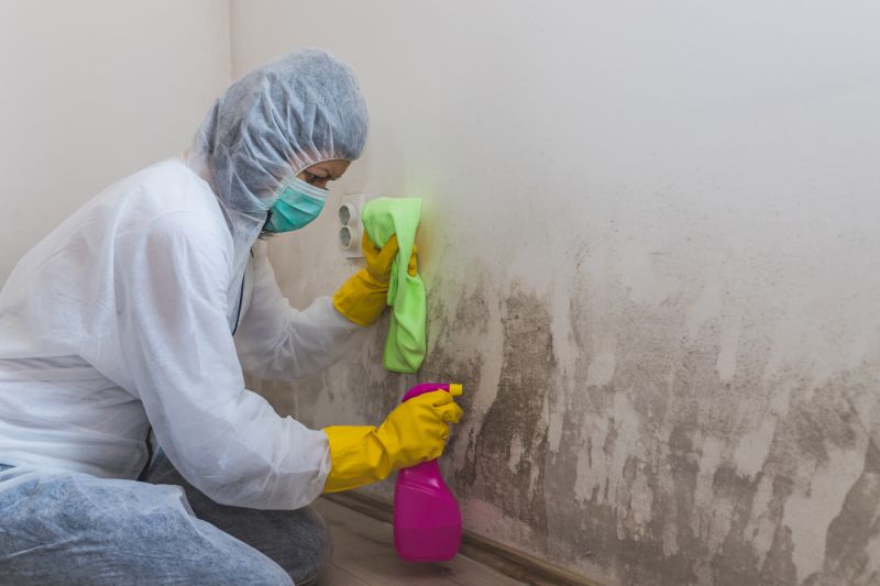 Crawl Space Mold Removal in Jupiter, FL