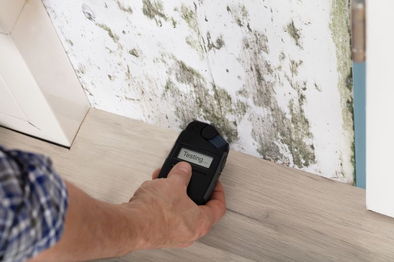 Mold Detection in Dallas, TX