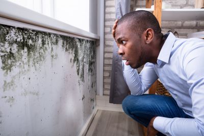 Mold Inspection And Removal in Mckinney, TX