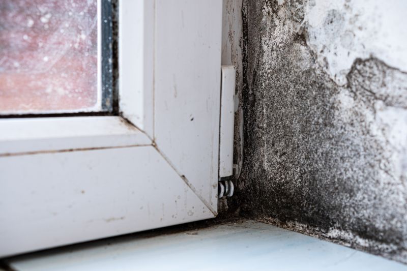 Mold Restoration in Broward County, FL