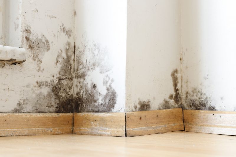 Mold Restoration in Broward County, FL