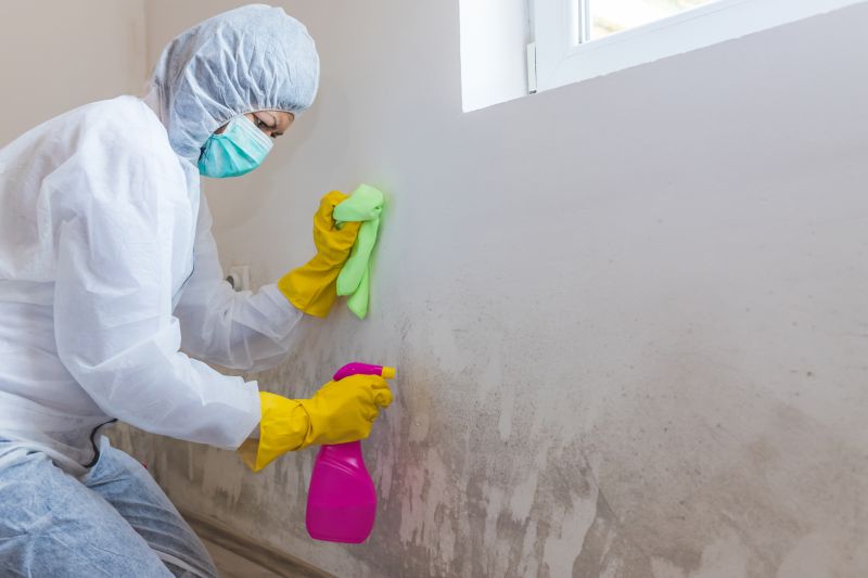 Mold Restoration in West Palm Beach, FL