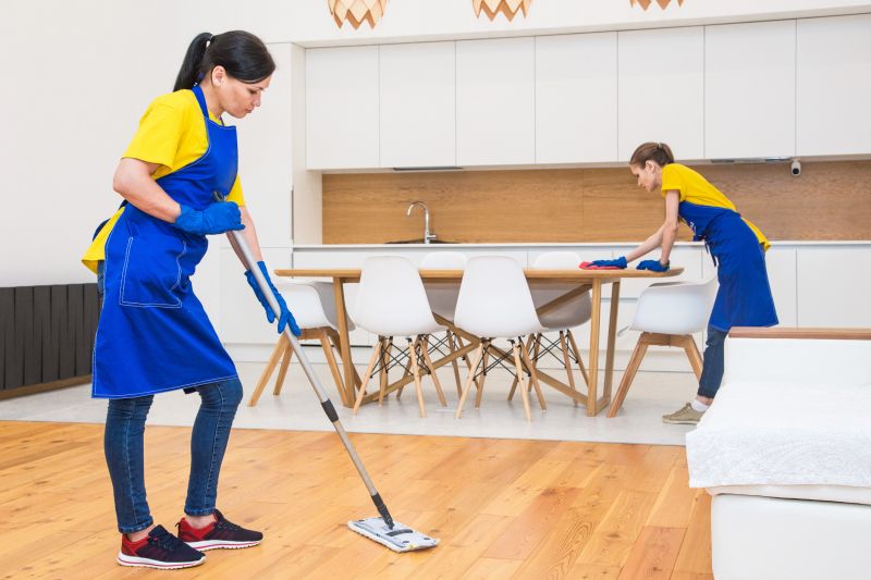 Reo Property Cleaning in Redmond, WA