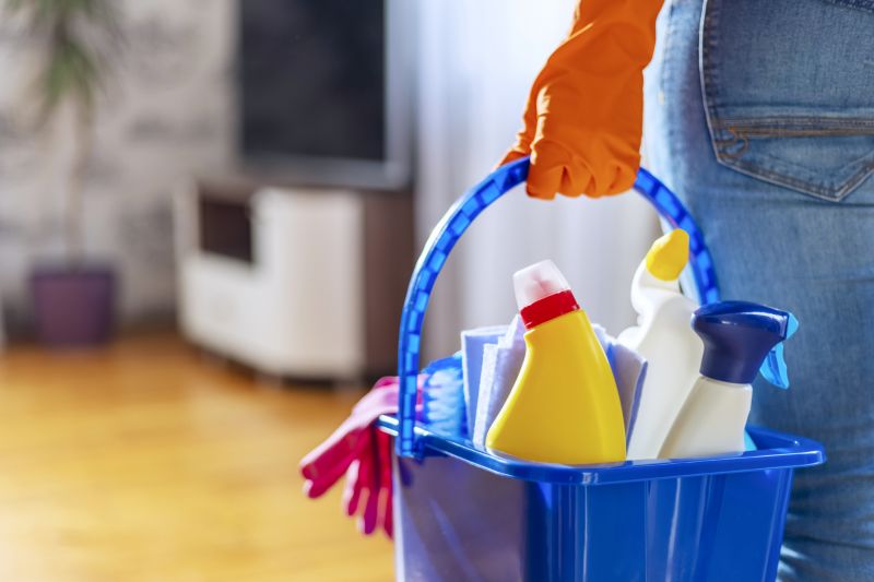 Reo Property Cleaning in Renton, WA