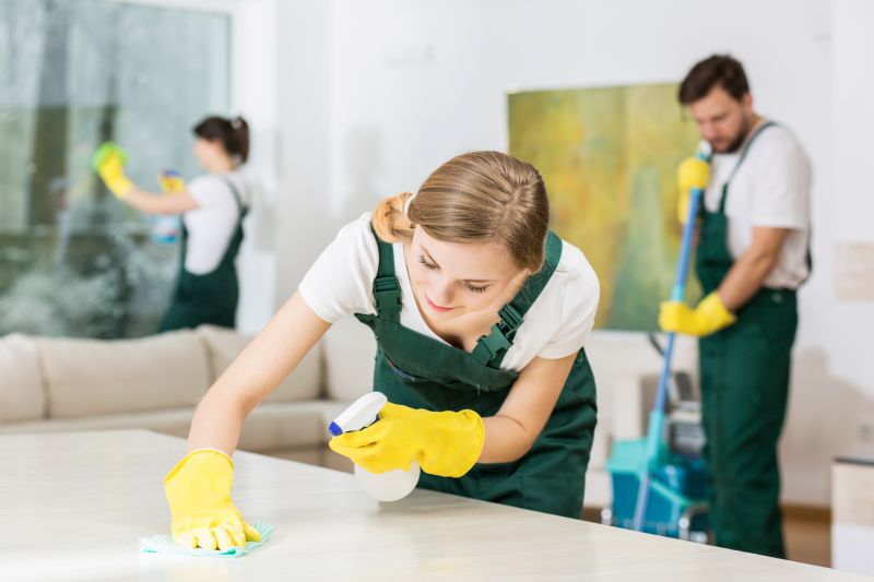 What A Professional Maid Service Includes