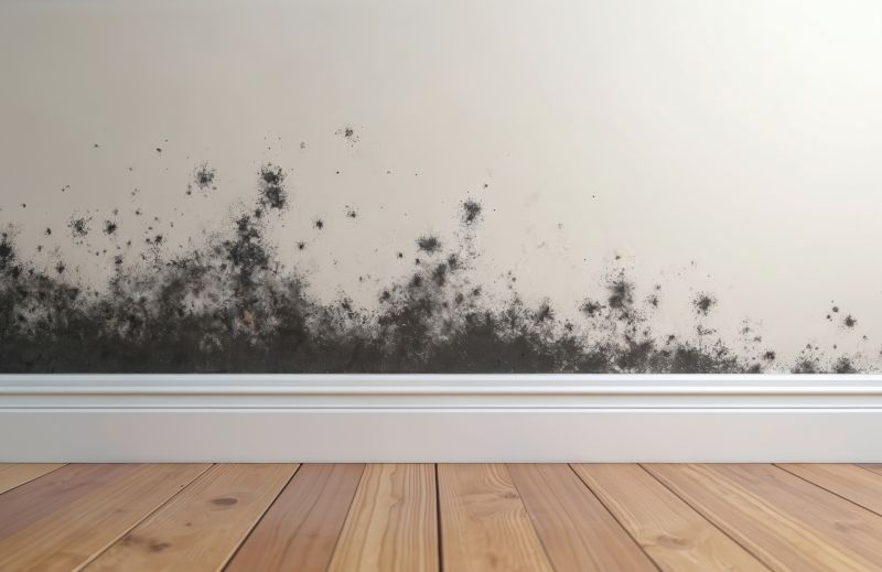 White Mold Mitigation in Bergen County, NJ