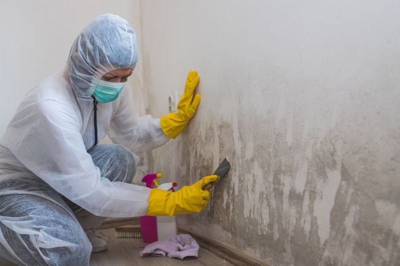 White Mold Mitigation in Dallas, TX