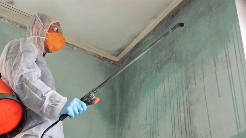 Air Duct Mold Removal in Bergen County, NJ
