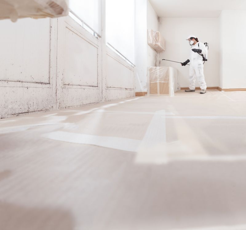Attic Mold Remediation in Fort Lauderdale, FL