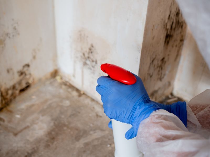 Basement Mold Remediation in Fort Worth, TX