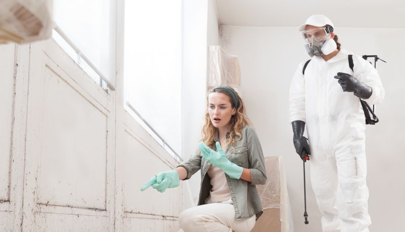 Basement Mold Remediation in Bergen County, NJ