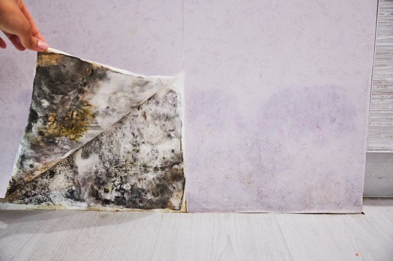 Black Mold Removal in Boynton Beach, FL