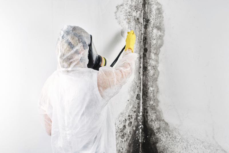 Crawlspace Mold Remediation in Boca Raton, FL