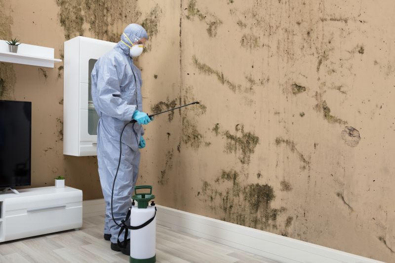 Mold Abatement in West Palm Beach, FL