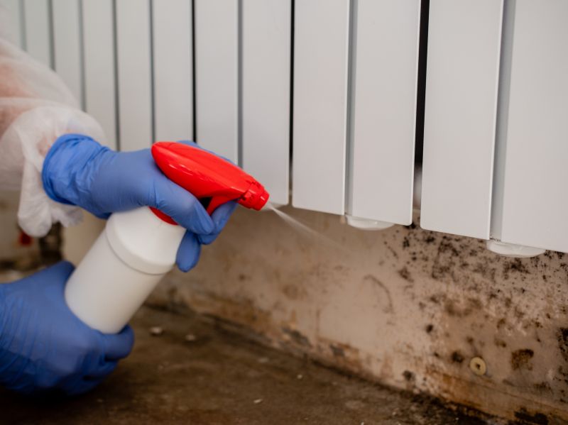 Mold Cleanup Service in West Palm Beach, FL