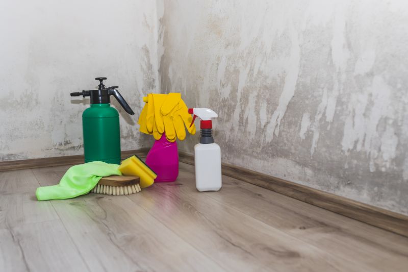 Mold Mitigation Service in West Palm Beach, FL