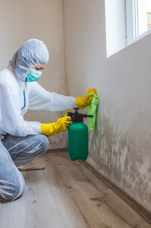 Mold Removal in Bergen County, NJ