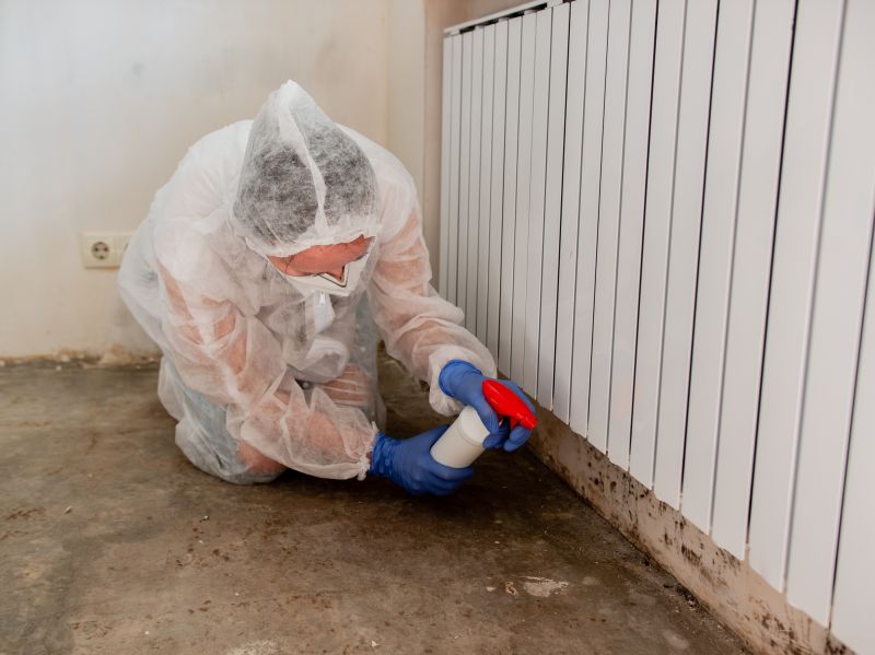 Mold Removal in Fort Worth, TX