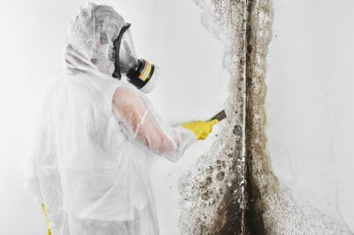 Mold Removal in Dallas, TX